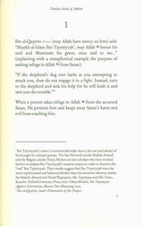 Timeless Seeds of Advice (24923)