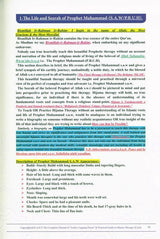 Hijama Therapy : A Complete Manual Of ' The Arabic Cupping Points ' (24887)