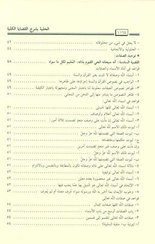 Al-Hilyah explains the total issues الحلية بشرح القضاياالكلية (21995)