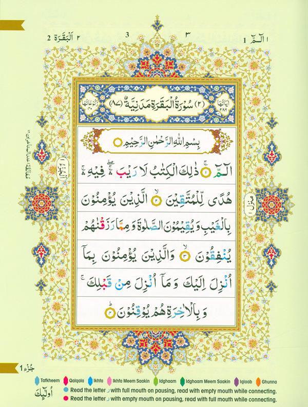 The Holy Quran Colour coded Tajweed Rules (14x19), 9788172319694