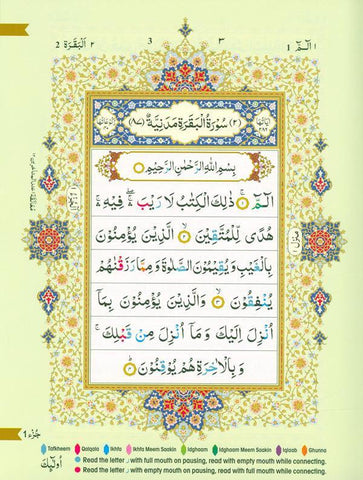 The Holy Quran Colour coded Tajweed Rules (14x19), 9788172319694