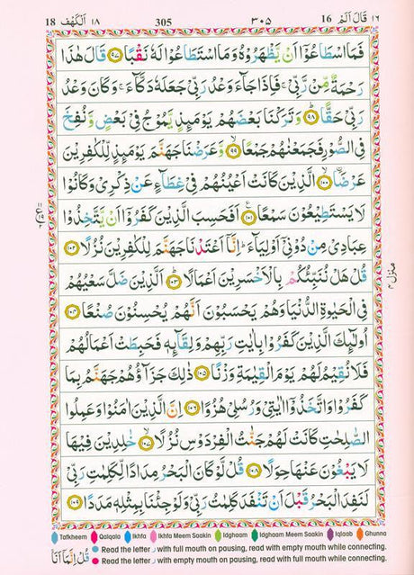 The Holy Quran Colour coded Tajweed Rules (14x19), 9788172319694