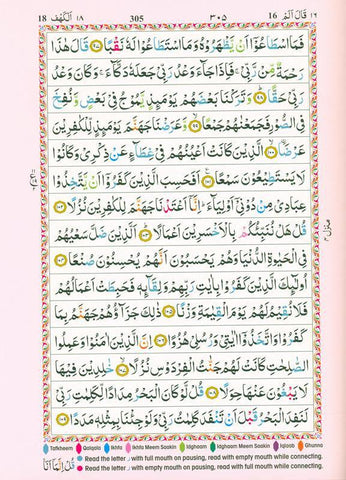 The Holy Quran Colour coded Tajweed Rules (14x19), 9788172319694