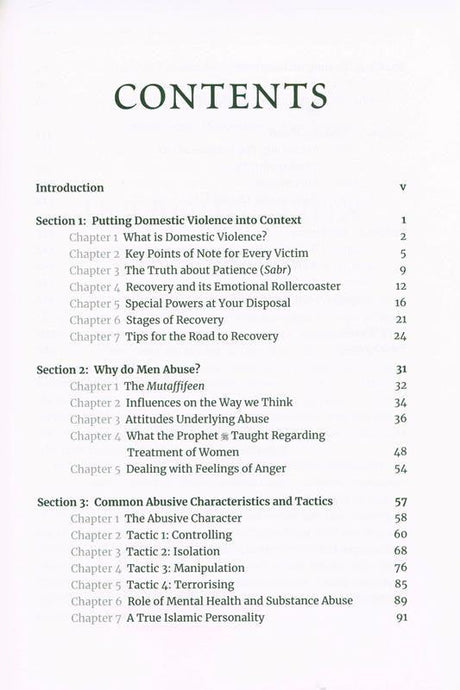 Road To Recovery Healing From Domestic Violence, 9781842001066