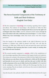 Understanding Your Testimony Of Faith; Seven Essential Points Of Understanding, 9781927012406