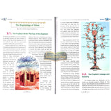 Islamic Studies Grade 12