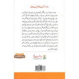 Jado Aor Aseeb Ka Kamyab Ilaaj : Urdu / جادُواورآسیب کا کامیاب علاج اردو