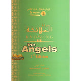 Knowing the Angels