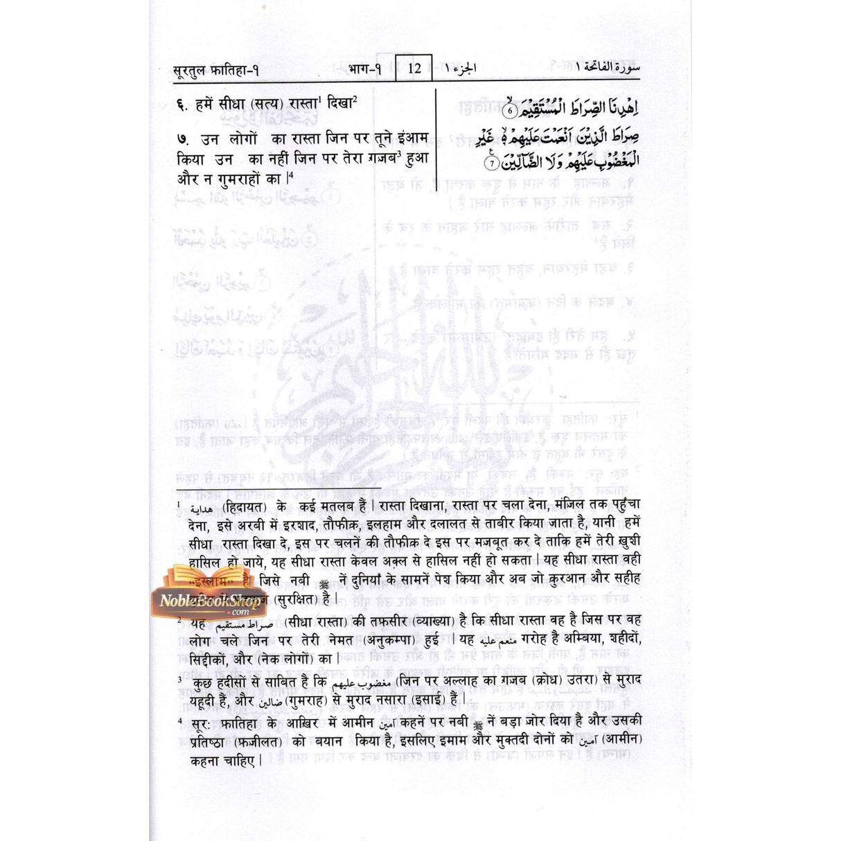 Noble Quran Hindi Language Mukhtasar Tafseer Ahsanul Bayan