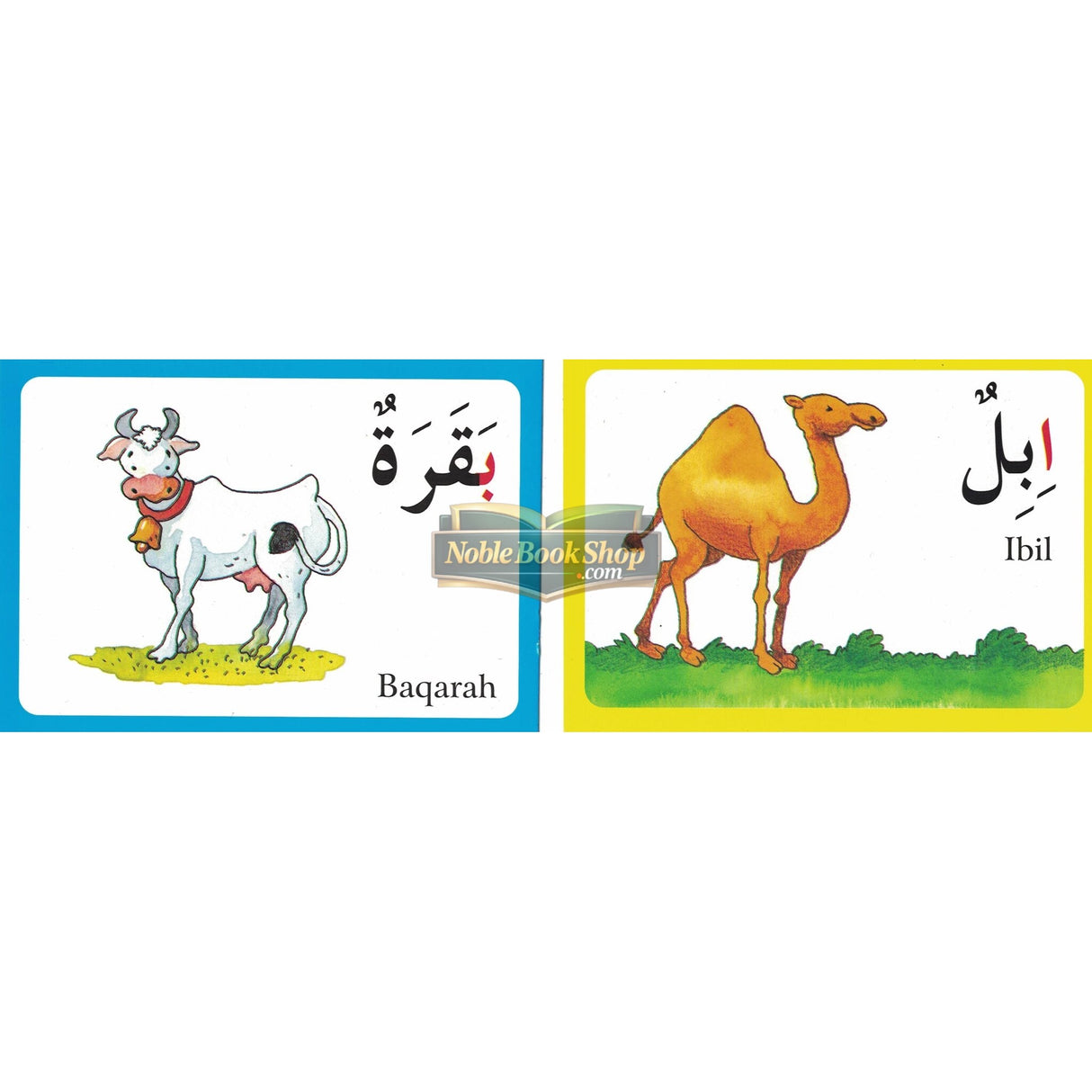 Quran Stories For Kids