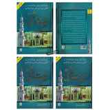 Seerat Un Nabi 3 Volume Set : Urdu / سِیرتُ النَّبی صلی الله علیه وآلهِ وسلم : اردو