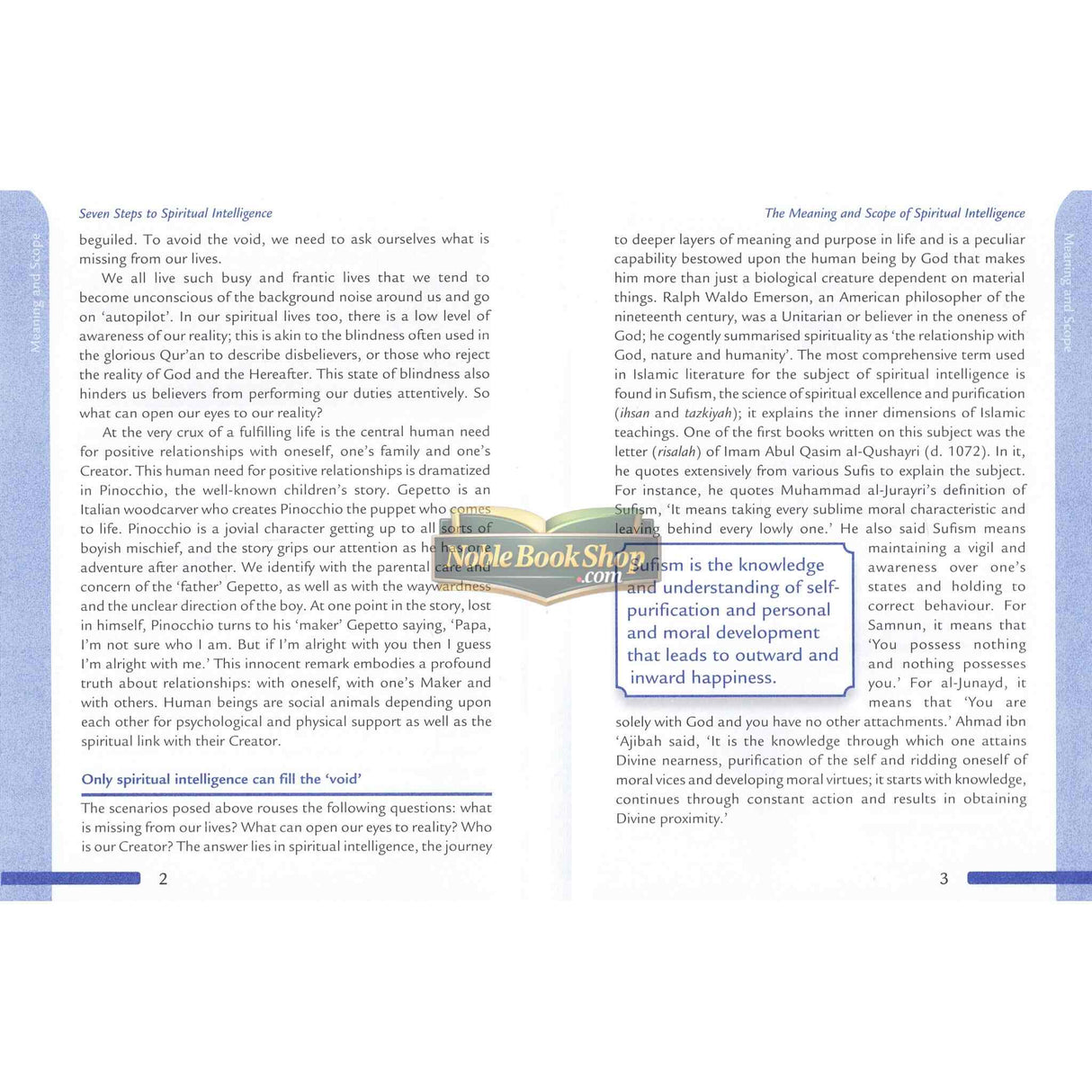 Seven Steps to Spiritual Intelligence (Based on classical Islamic teaching)