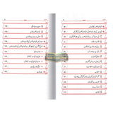 Shah Abdul Aziz Ibn Saud Ki Qiyadat O Siyasat Ke15 Rehnuma Usool : Urdu