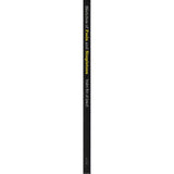 Sketches Of Fools And Simpletons