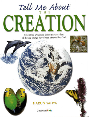 Tell Me About the Creation - NobleBookshop