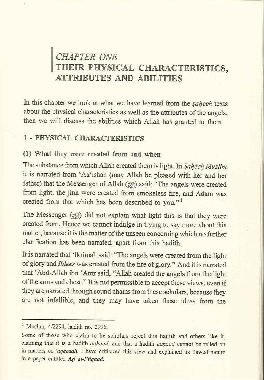 The World of the Noble Angels : Islamic Creed Series 2 - NobleBookshop