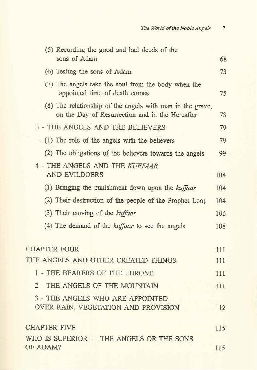 The World of the Noble Angels : Islamic Creed Series 2 - NobleBookshop