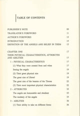 The World of the Noble Angels : Islamic Creed Series 2 - NobleBookshop