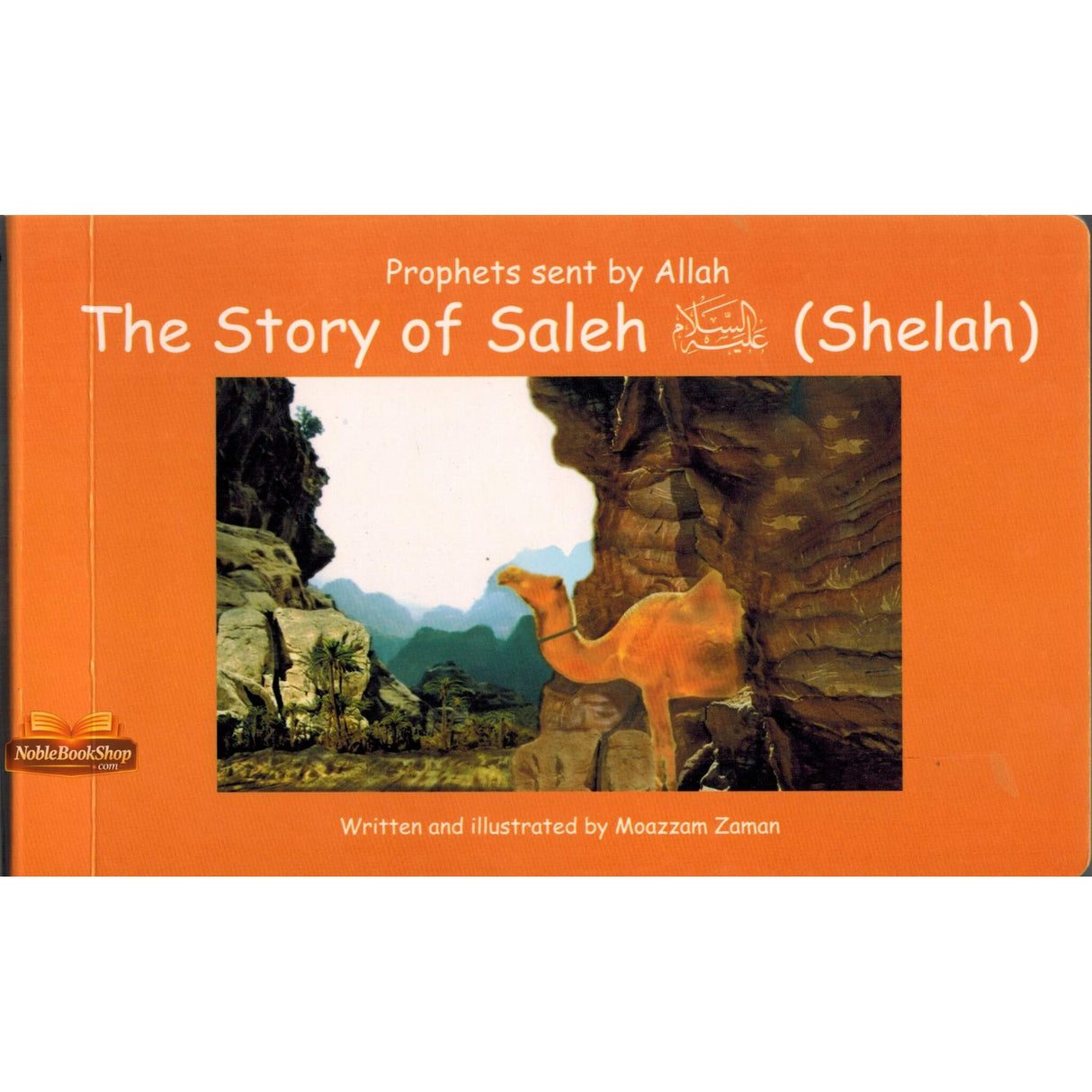 Story of Saleh