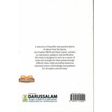 Timeless Seeds of Advice