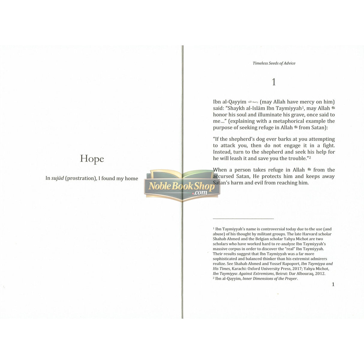 Timeless Seeds of Advice