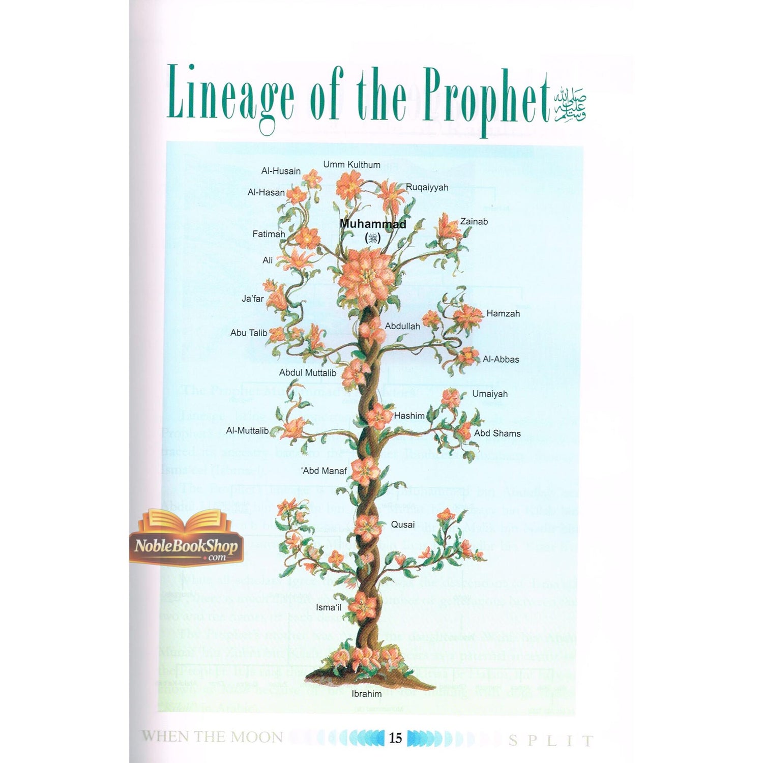 When the Moon Split : Large