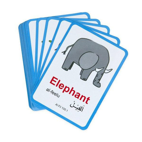Animals In The Quran Snap Cards  Flashcards