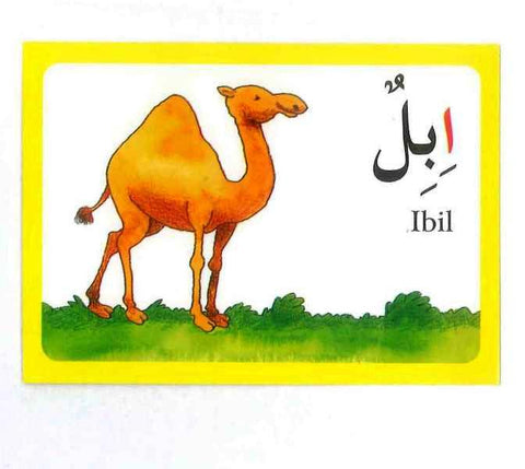 Arabic Alphabet Flash Cards Flashcards