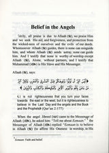 Belief In The Angels : Pocket Plus Size