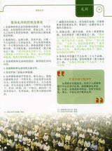 伊斯兰的功修
