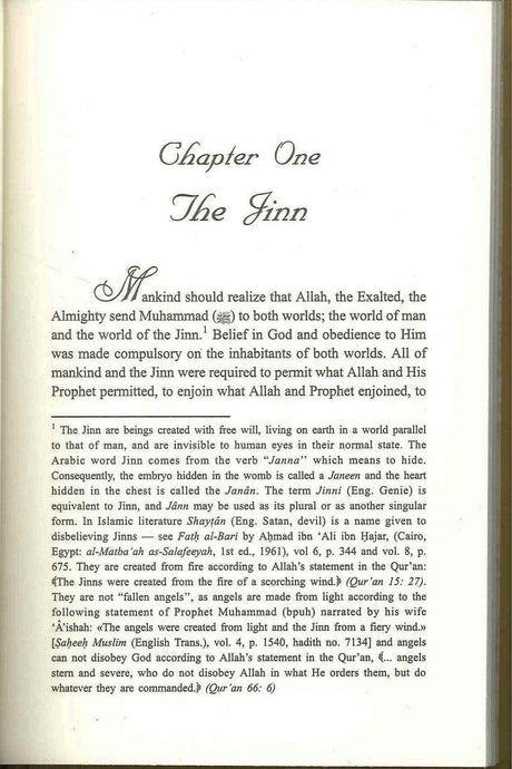 Ibn Taymiyah's Essay on the Jinn ( Demons ) - NobleBookshop