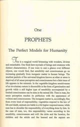 Muhammad The Ideal Prophet صلی الله علیه وآله وسلم - NobleBookshop