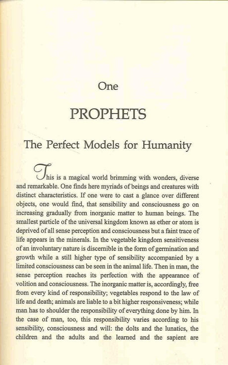 Muhammad The Ideal Prophet صلی الله علیه وآله وسلم - NobleBookshop