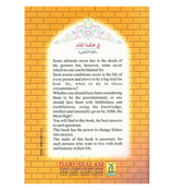 The Story of Prophet Yusuf Part II "In The King's Court"