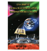 A Brief Illustrated Guide to understand (Una breve guida illustrata per comprendere)