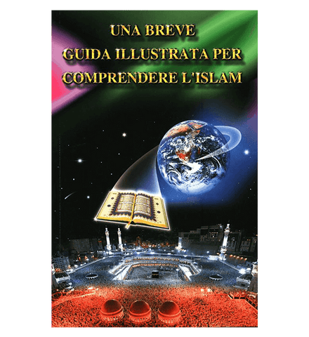 A Brief Illustrated Guide to understand (Una breve guida illustrata per comprendere)