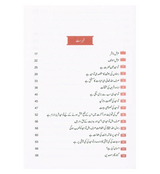 Attainment of the happiness (Sadaton ka Safar)in Urdu