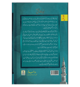 Seerat Un Nabi 3 Volume Set : Urdu / سِیرتُ النَّبی صلی الله علیه وآلهِ وسلم : اردو