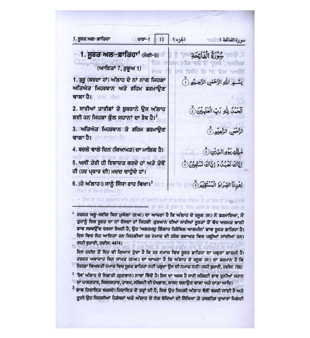 Noble Quran in Gurmukhi Language (23375)