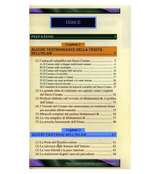 A Brief Illustrated Guide to understand (Una breve guida illustrata per comprendere)