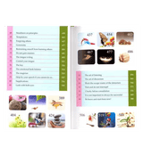 Enjoy Your Life : Colour : Darussalam