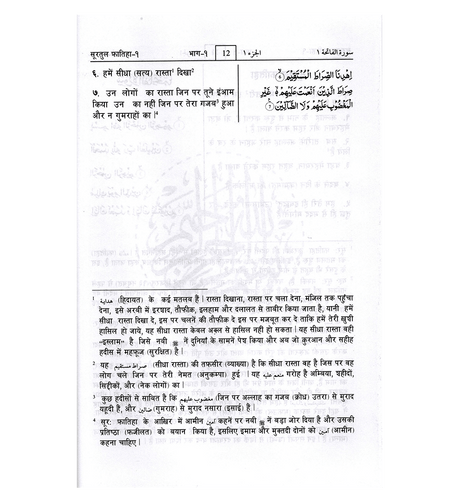 Noble Quran Hindi Language Mukhtasar Tafseer Ahsanul Bayan (22351)