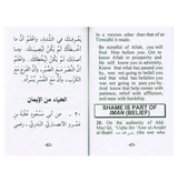 Collection of An-Nawawi 40 Hadith - Mini booklet