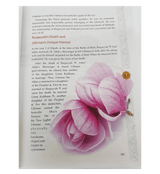 Golden Seerah: For the Young Generation