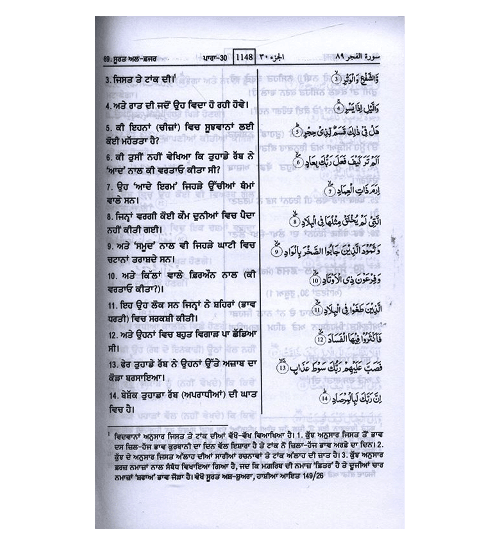 Noble Quran in Gurmukhi Language (23375)