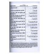 Noble Quran in Gurmukhi Language (23375)
