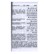 Noble Quran in chinese Language (23364)