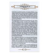 The Book of Ibns (The Amazing Sons of Islam)