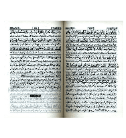 Tafseer Ahsan ul Kalam In Urdu (Pocket+)