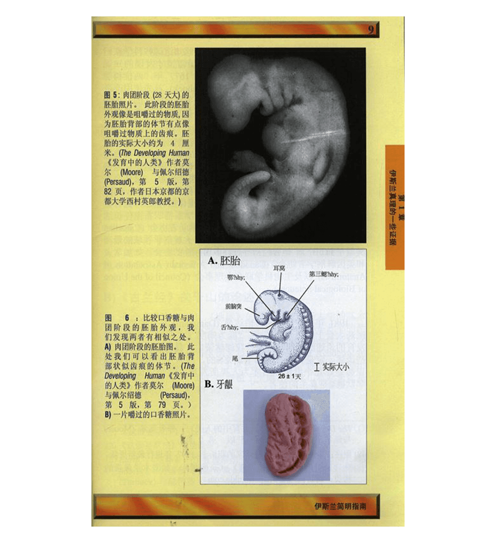 A Brief Illustrated Guide to understand Islam (浅谈图解指南了解伊斯兰教)